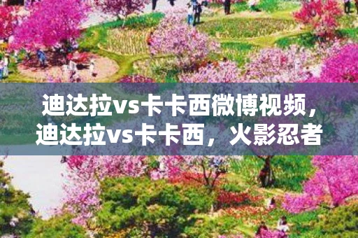 迪达拉vs卡卡西微博视频，迪达拉vs卡卡西，火影忍者中的经典对决