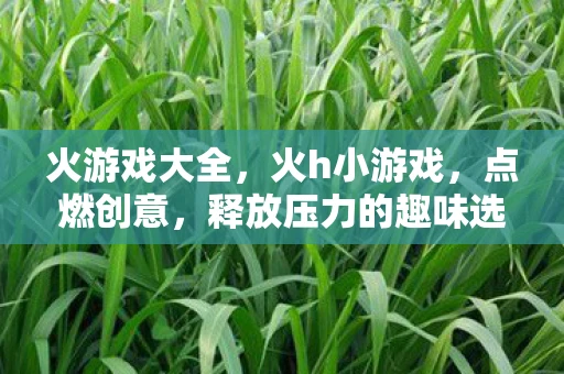 火游戏大全,火h小游戏,点燃创意,释放压力的趣味选择 火游戏大全,火h小游戏,点燃创意,释放压力的趣味选择