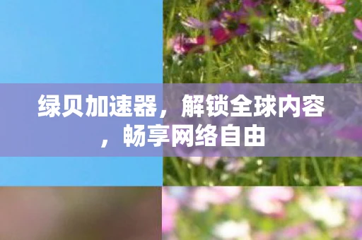 绿贝加速器,解锁全球内容,畅享网络自由 绿贝加速器,解锁全球内容,畅享网络自由