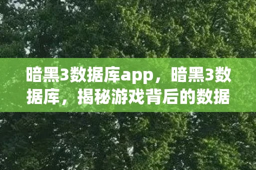 暗黑3数据库app，暗黑3数据库，揭秘游戏背后的数据宝藏