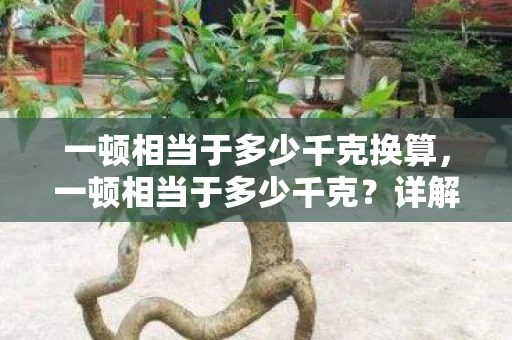 一顿相当于多少千克换算,一顿相当于多少千克?详解重量单位换算 一顿相当于多少千克换算,一顿相当于多少千克?详解重量单位换算