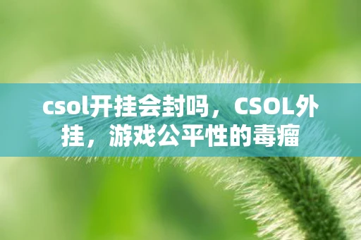 csol开挂会封吗,CSOL外挂,游戏公平性的毒瘤 csol开挂会封吗,CSOL外挂,游戏公平性的毒瘤
