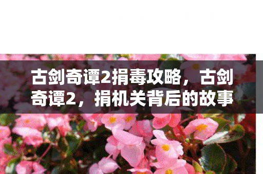 古剑奇谭2捐毒攻略,古剑奇谭2,捐机关背后的故事与意义 古剑奇谭2捐毒攻略,古剑奇谭2,捐机关背后的故事与意义