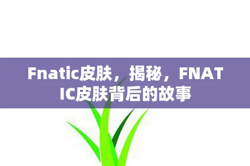 Fnatic皮肤，揭秘，FNATIC皮肤背后的故事