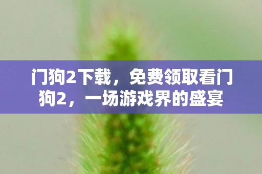 门狗2下载,免费领取看门狗2,一场游戏界的盛宴 门狗2下载,免费领取看门狗2,一场游戏界的盛宴