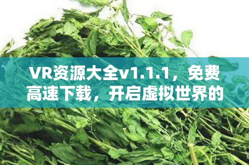 开启虚拟世界的大门图片