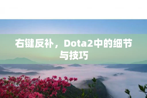 右键反补，Dota2中的细节与技巧