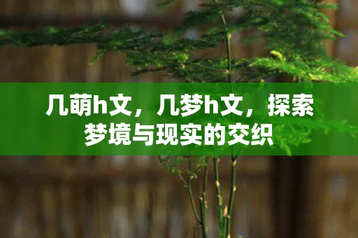 几萌h文,几梦h文,探索梦境与现实的交织 几萌h文,几梦h文,探索梦境与现实的交织