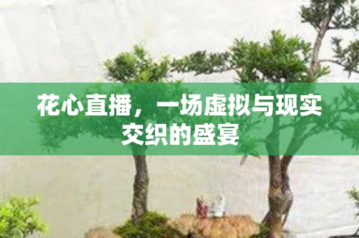 花心直播,一场虚拟与现实交织的盛宴 花心直播,一场虚拟与现实交织的盛宴