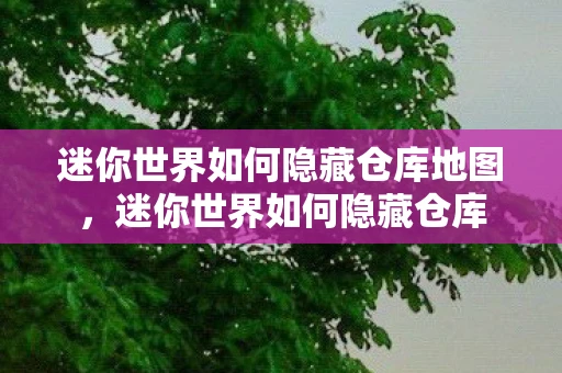 迷你世界如何隐藏仓库地图,迷你世界如何隐藏仓库 迷你世界如何隐藏仓库地图,迷你世界如何隐藏仓库