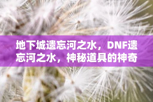 地下城遗忘河之水，DNF遗忘河之水，神秘道具的神奇用途