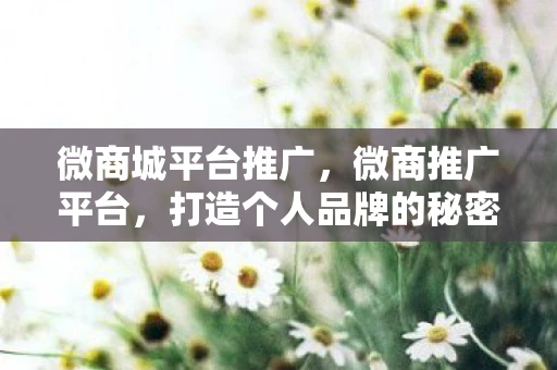 微商城平台推广,微商推广平台,打造个人品牌的秘密武器 微商城平台推广,微商推广平台,打造个人品牌的秘密武器