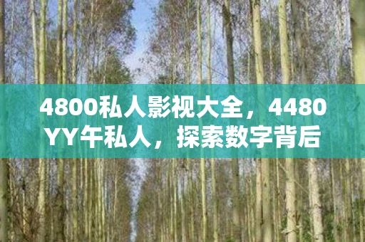 4800私人影视大全,4480YY午私人,探索数字背后的秘密 4800私人影视大全,4480YY午私人,探索数字背后的秘密