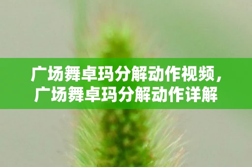 广场舞卓玛分解动作视频，广场舞卓玛分解动作详解