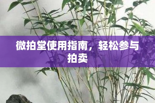 微拍堂使用指南图片