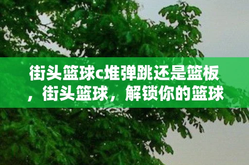 街头篮球c堆弹跳还是篮板,街头篮球,解锁你的篮球梦 街头篮球c堆弹跳还是篮板,街头篮球,解锁你的篮球梦