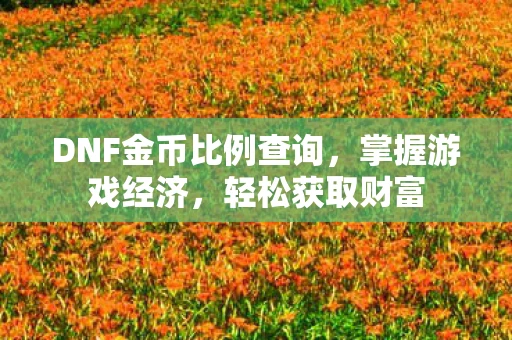 DNF金币比例查询，掌握游戏经济，轻松获取财富
