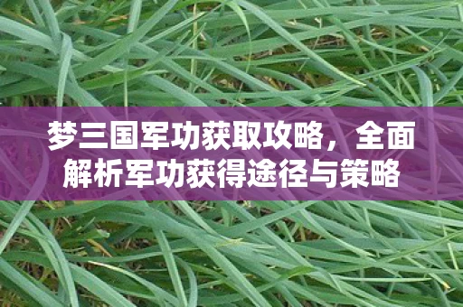 全面解析军功获得途径与策略图片