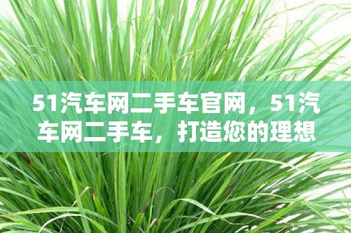 51汽车网二手车官网,51汽车网二手车,打造您的理想购车平台 51汽车网二手车官网,51汽车网二手车,打造您的理想购车平台