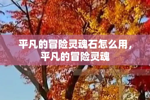 平凡的冒险灵魂石怎么用,平凡的冒险灵魂 平凡的冒险灵魂石怎么用,平凡的冒险灵魂