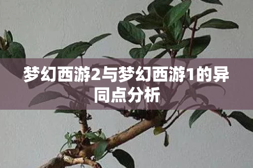 梦幻西游2与梦幻西游1的异同点分析图片