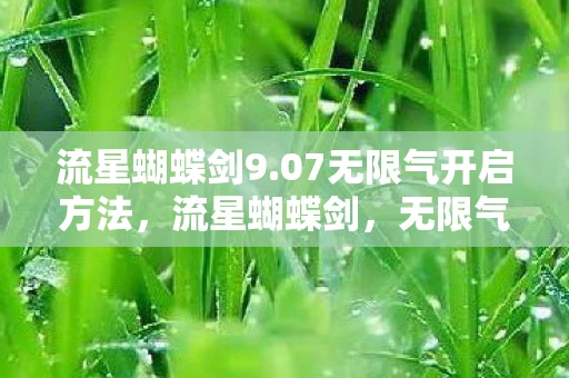 流星蝴蝶剑9.07无限气开启方法，流星蝴蝶剑，无限气挂背后的故事与反思