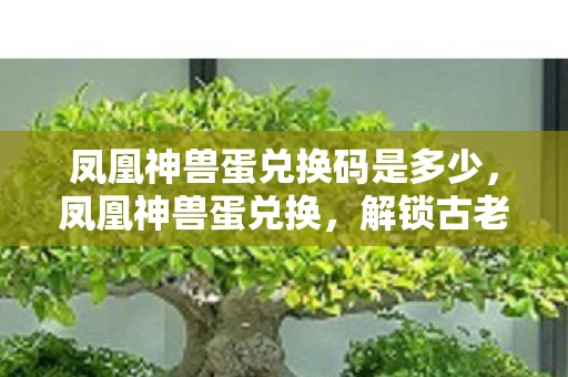 凤凰神兽蛋兑换码是多少，凤凰神兽蛋兑换，解锁古老传说的神秘钥匙