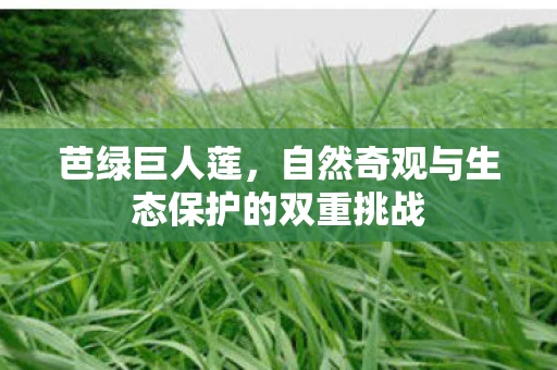 芭绿巨人莲，自然奇观与生态保护的双重挑战