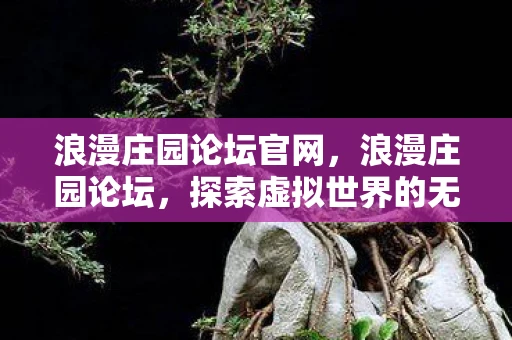 浪漫庄园论坛官网,浪漫庄园论坛,探索虚拟世界的无限可能 浪漫庄园论坛官网,浪漫庄园论坛,探索虚拟世界的无限可能