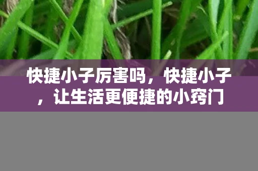 快捷小子厉害吗，快捷小子，让生活更便捷的小窍门