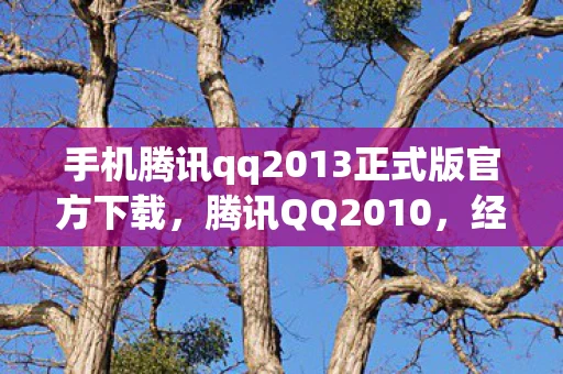 手机腾讯qq2013正式版官方下载，腾讯QQ2010，经典回忆与未来展望
