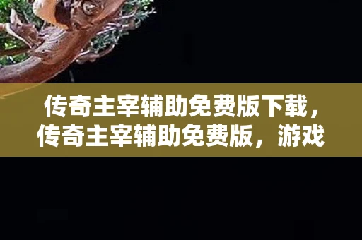 传奇主宰辅助免费版下载,传奇主宰辅助免费版,游戏辅助工具背后的真相与风险 传奇主宰辅助免费版下载,传奇主宰辅助免费版,游戏辅助工具背后的真相与风险