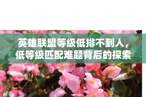 低等级匹配难题背后的探索图片