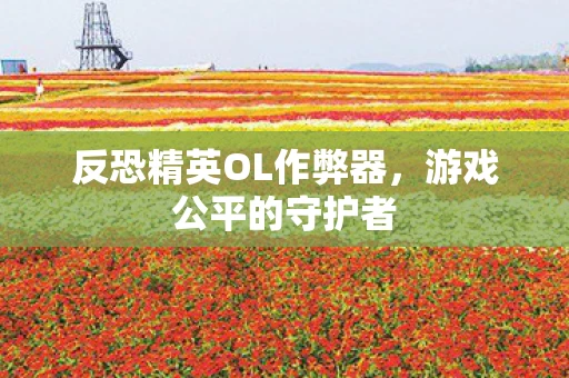 反恐精英OL作弊器，游戏公平的守护者