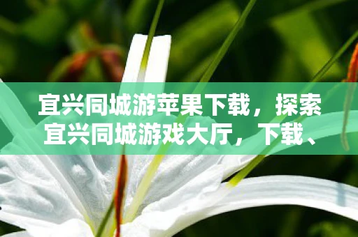 宜兴同城游苹果下载，探索宜兴同城游戏大厅，下载、体验与乐趣全解析