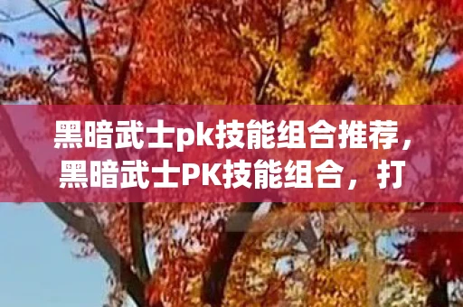 黑暗武士pk技能组合推荐，黑暗武士PK技能组合，打造不败神话
