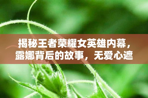 揭秘王者荣耀女英雄内幕图片