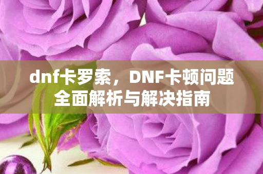 dnf卡罗索，DNF卡顿问题全面解析与解决指南