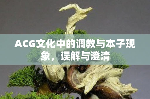 ACG文化中的调教与本子现象,误解与澄清 ACG文化中的调教与本子现象,误解与澄清