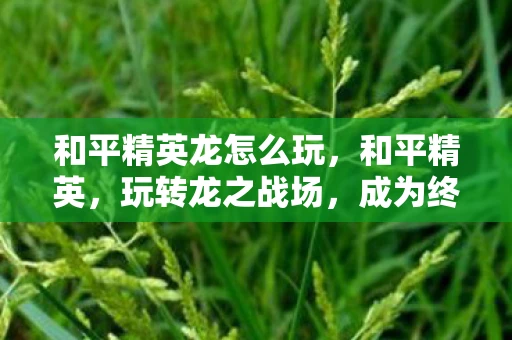 和平精英龙怎么玩，和平精英，玩转龙之战场，成为终极赢家