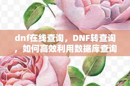 dnf在线查询，DNF转查询，如何高效利用数据库查询优化游戏数据