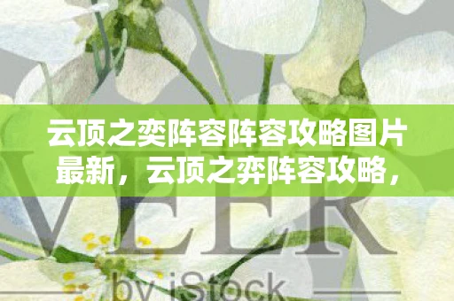 云顶之奕阵容阵容攻略图片最新，云顶之弈阵容攻略，最新阵容搭配与策略