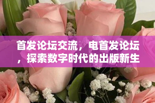 首发论坛交流，电首发论坛，探索数字时代的出版新生态