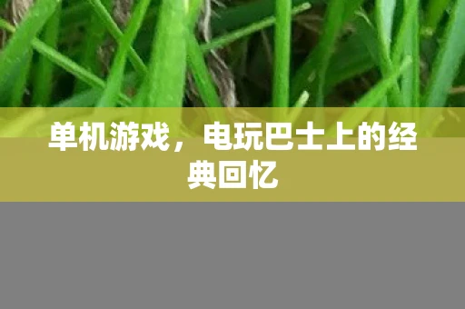 单机游戏,电玩巴士上的经典回忆 单机游戏,电玩巴士上的经典回忆