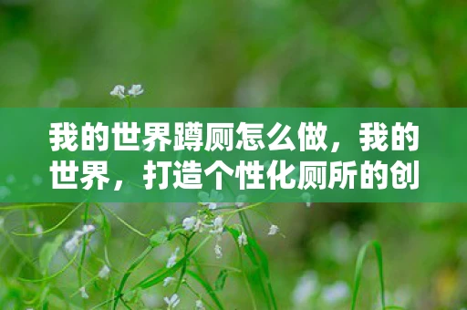 我的世界蹲厕怎么做,我的世界,打造个性化厕所的创意指南 我的世界蹲厕怎么做,我的世界,打造个性化厕所的创意指南