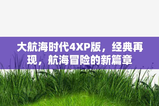 大航海时代4XP版图片