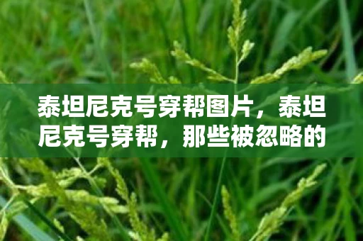 泰坦尼克号穿帮图片，泰坦尼克号穿帮，那些被忽略的细节