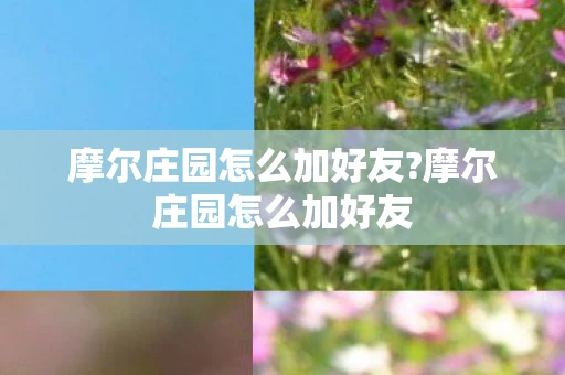 摩尔庄园怎么加好友?摩尔庄园怎么加好友 摩尔庄园怎么加好友?摩尔庄园怎么加好友