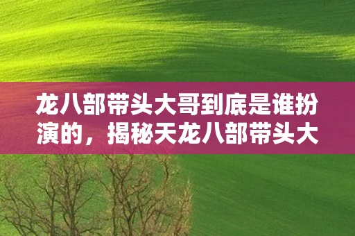 龙八部带头大哥到底是谁扮演的,揭秘天龙八部带头大哥的真实身份 龙八部带头大哥到底是谁扮演的,揭秘天龙八部带头大哥的真实身份