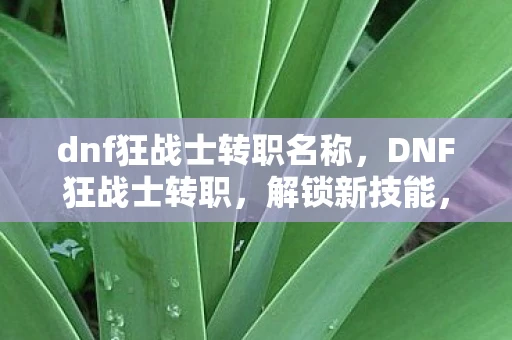 dnf狂战士转职名称，DNF狂战士转职，解锁新技能，挑战更高难度